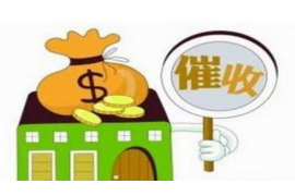 田东融资清欠服务