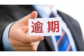 田东债务清欠服务